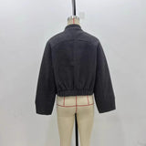 Pflage Dress Short Bomber Jacket 2025 Spring Temperament Collar Single Buckle Long Sleeves Loose Short Coat Woman