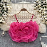 Small-Banded Holiday Wind Eogen Yarn Three-Dimensional Flower Sling Vest Women's Summer New Ocean Chic Short Top