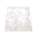 2025 Women's Autumn And Winter Temperament Light Fashion New Party Squin Mini Skirt