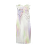 Women's Dress 2025 New Fashion Print Net Corset Dress