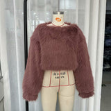 Women's Clothing 2025 Winter New Artificial Fur Effect Short Long-Sleeved Jacket Environmental Protection Fur Coat