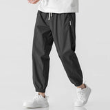 Trendy Workwear Men's Loose Trousers 2025 Spring And Summer Fashion Nine-Point Halen Pants Fashion Men's Casual Pants