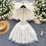 2025 Summer Retro Temperament Elegant Collar Single Buckle White Lace Embroidery A Word Cake Dress
