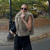 Women's Clothing 2025 Autumn And Winter New Fashion High-End Environmental Protection Fur Vest