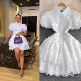 2025 Summer Retro Temperament Elegant Collar Single Buckle White Lace Embroidery A Word Cake Dress
