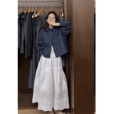 Korean Blue Vertical Polo Collar Long-Sleeved Shirt Female Spring Temperament Casual Loose Thin Collar Top