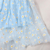 Net Yarn Girl Small French 2025 Folding Dress Slings Super Fairy Waist Thin Dress New Retro Daisies Summer