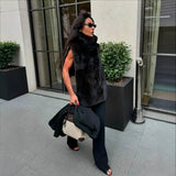2025 Spring Women's Women's Vest Comfortable Leisure High-Necked Fur Sleeveless Waist Warm Vest