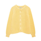 Women's Suit 2025 Spring Elegant Temperament Sleeveless V Collar Suit Vest + Folding Skirt